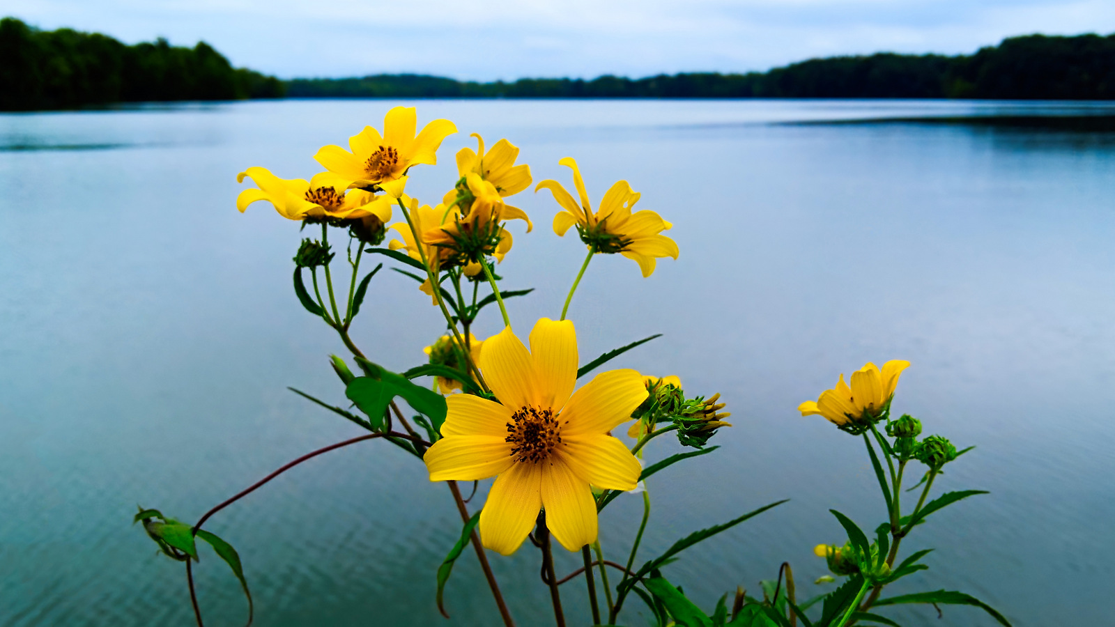 Lake Fayetteville, Arkansas