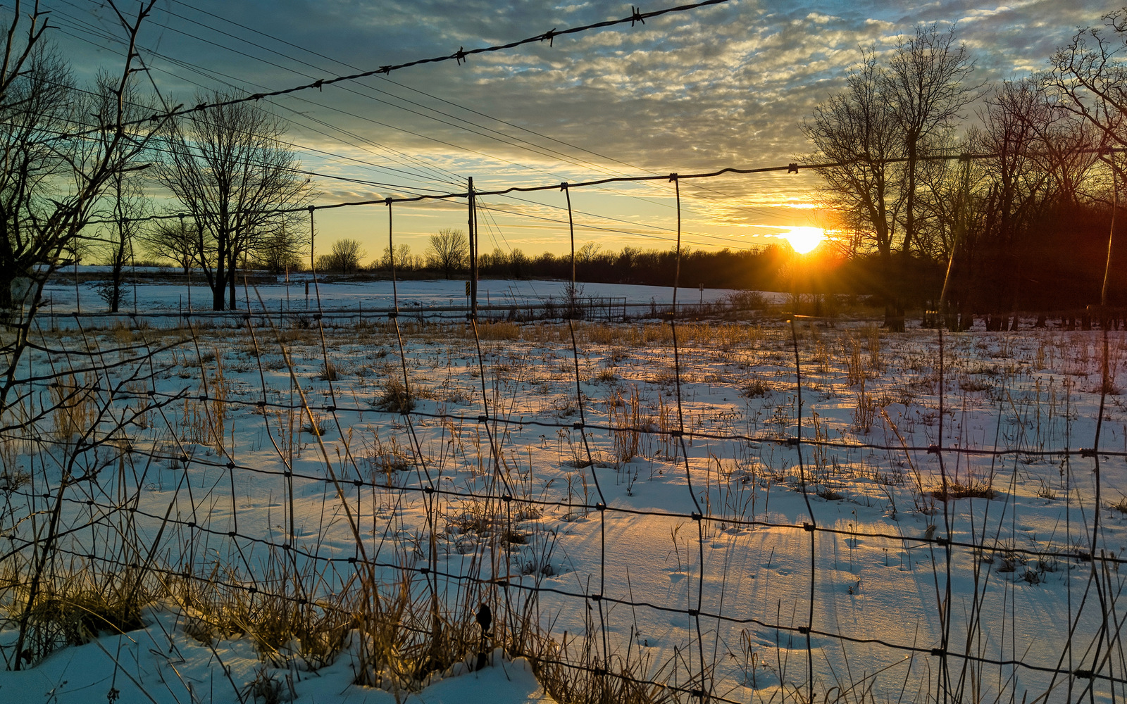 Fayetteville, AR